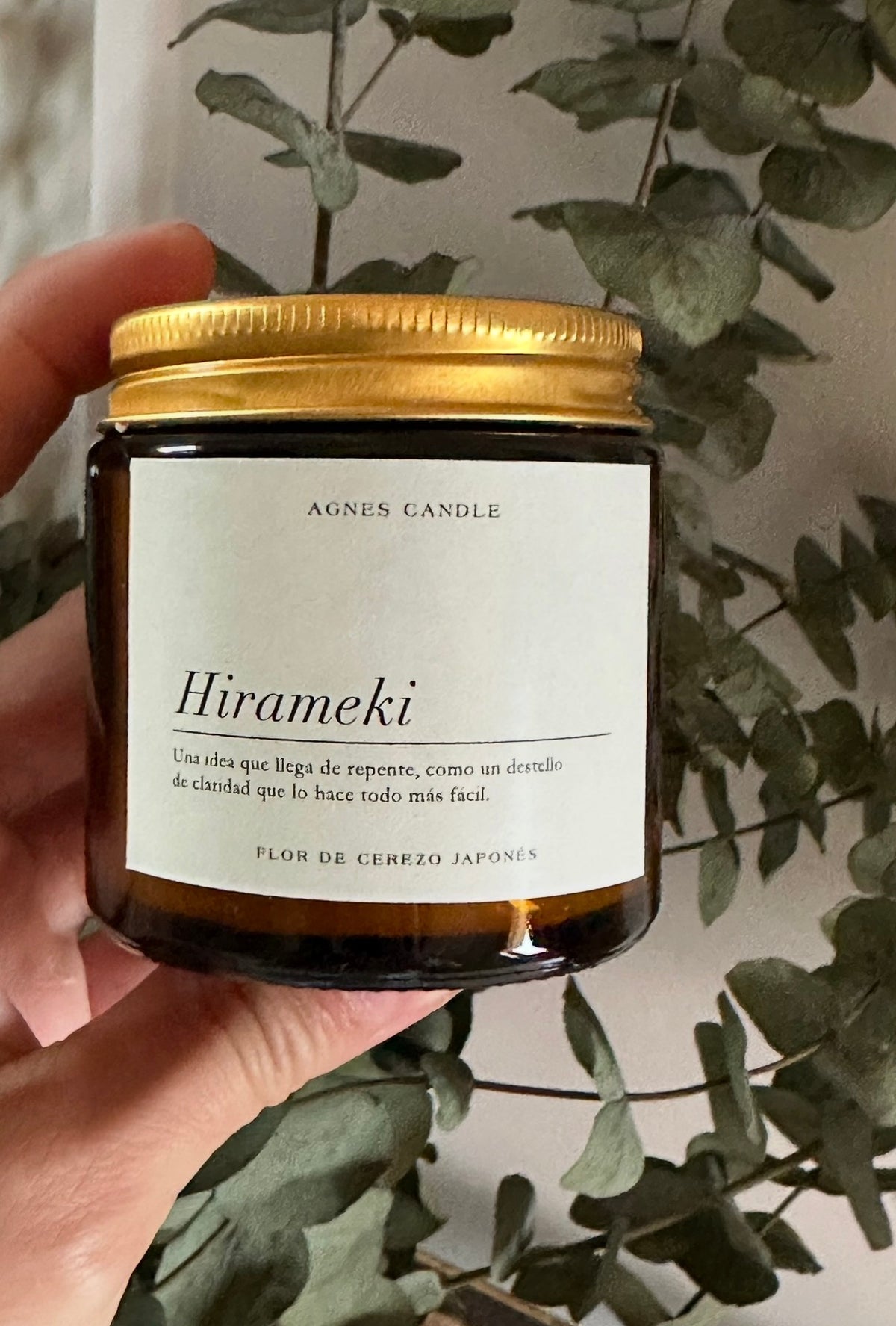 Vela hirameki
